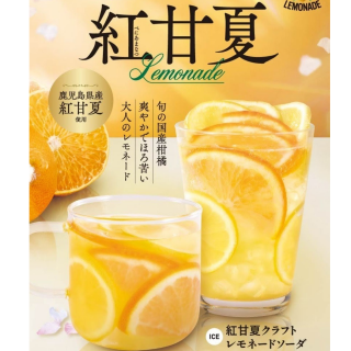紅甘夏のクラフトレモレード新発売！