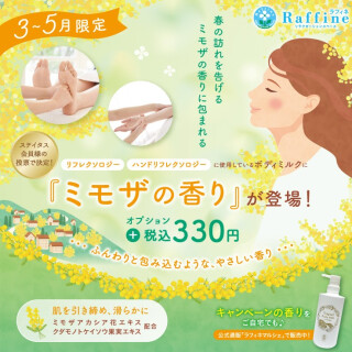 季節を感じる【ミモザの香り】オプション💐