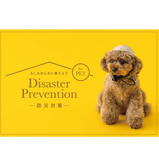 【新商品】ペット防災⛑🐶🐱