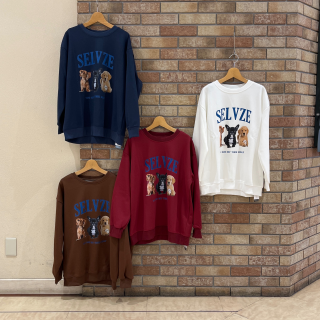 トレーナー入荷