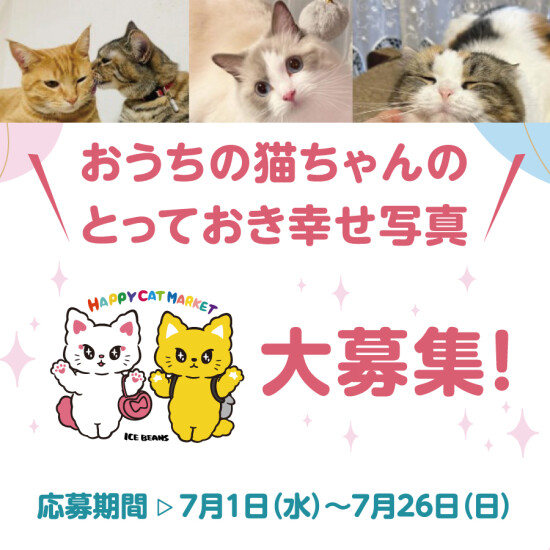 おうちの猫ちゃんの幸せとっておきの幸せ写真大募集！