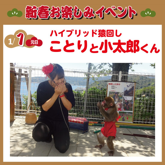 ハイブリッド猿回し　ことりと小太郎くん