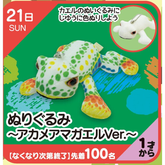 【キッズクラブ】ぬりぐるみ～アカメアマガエルVer.～