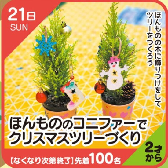 【キッズクラブ】コニファーでクリスマスツリーづくり