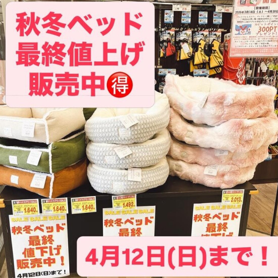 秋冬ベッド大特価