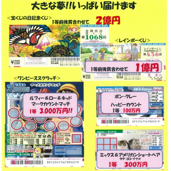 大きな夢！ルフィーで3000万