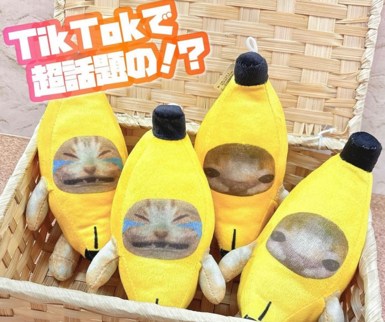 TikTokで超話題！ 猫バナナぬいぐるみ