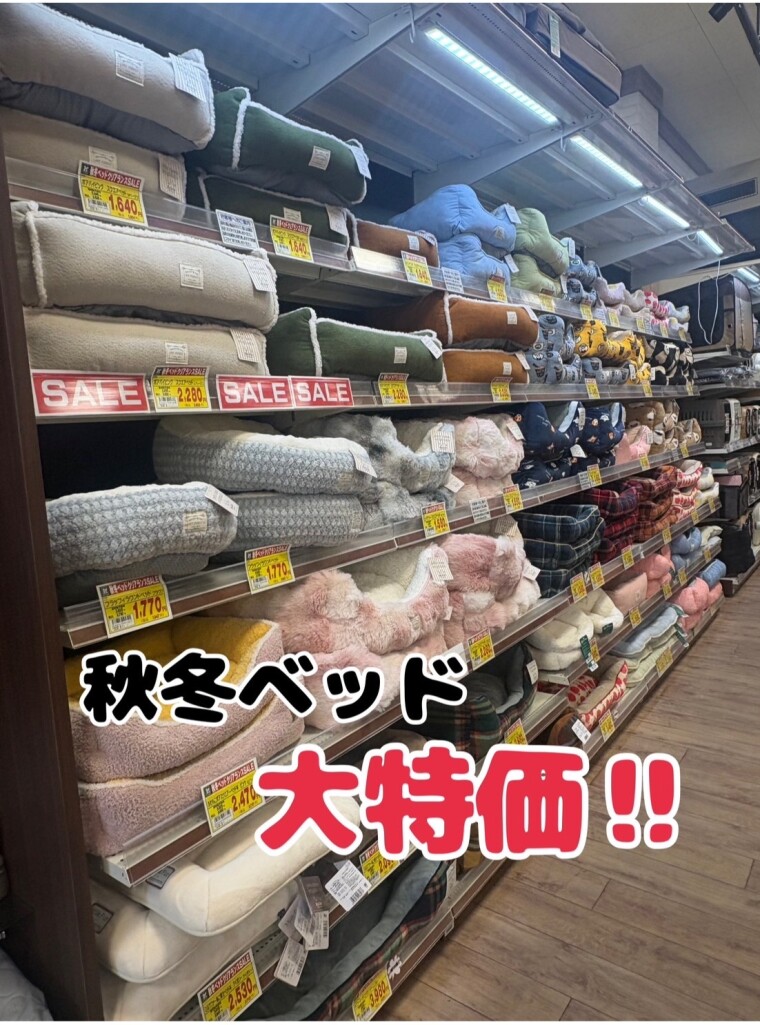 秋冬ベッド大特価！