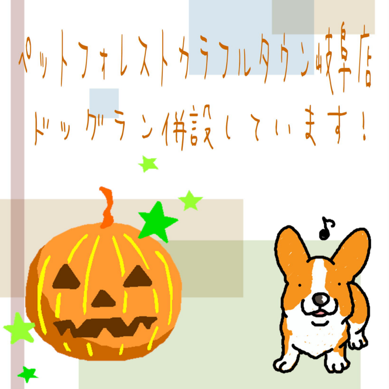 ドッグラン併設しています！！
