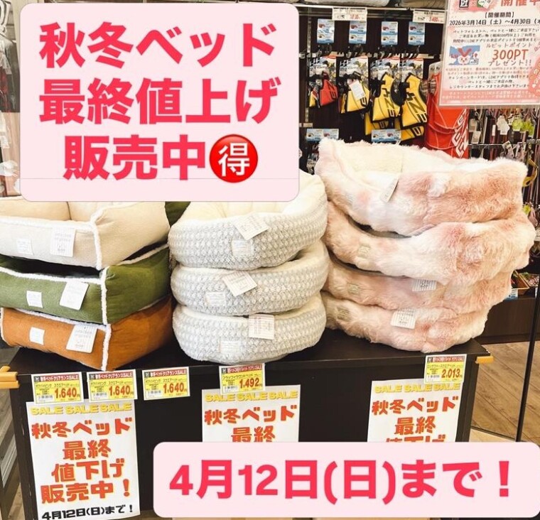 秋冬ベッド大特価