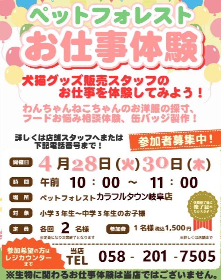 お仕事体験参加者募集中！！